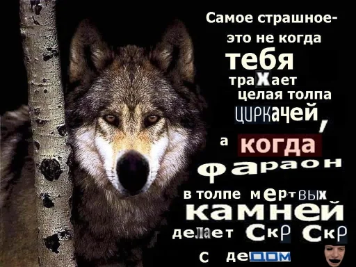 Стикерпак Волчьи цитаты для Telegram