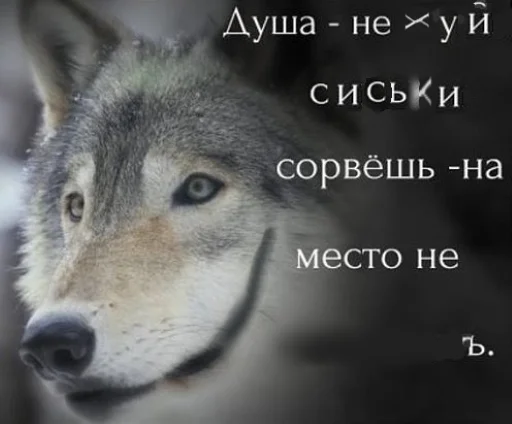 🐺 Стикер «Волчьи цитаты» для Telegram