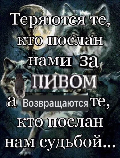 🐺 Стикер «Волчьи цитаты» для Telegram