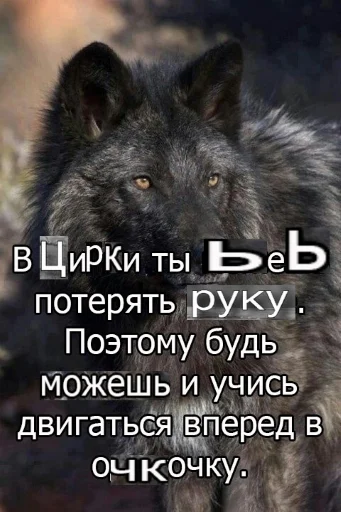 🐺 Стикер «Волчьи цитаты» для Telegram
