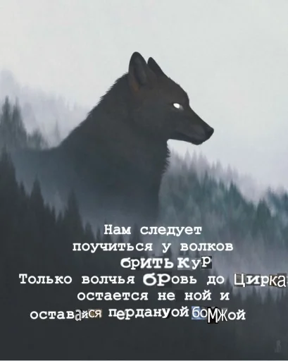 🐺 Стикер «Волчьи цитаты» для Telegram