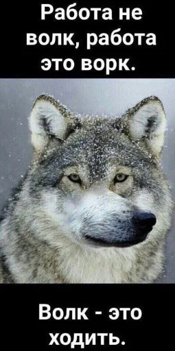🐺 Стикер «Волчьи цитаты» для Telegram