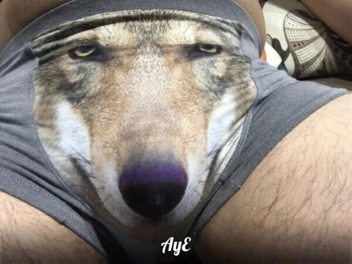 🐺 Стикер «Волчьи цитаты» для Telegram