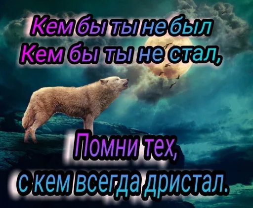 🐺 Стикер «Волчьи цитаты» для Telegram