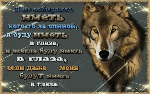 🐺 Стикер «Волчьи цитаты» для Telegram