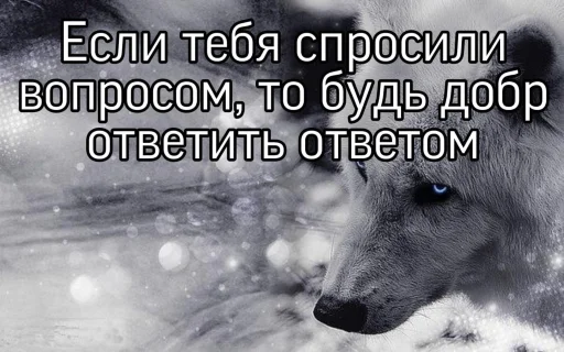 🐺 Стикер «Волчьи цитаты» для Telegram