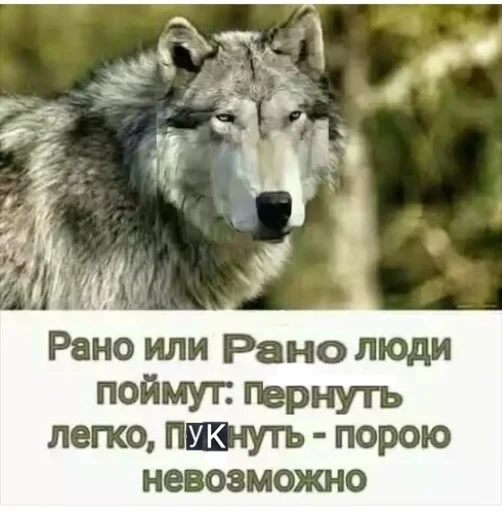 🐺 Стикер «Волчьи цитаты» для Telegram