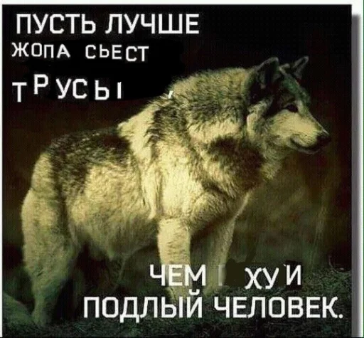 🐺 Стикер «Волчьи цитаты» для Telegram
