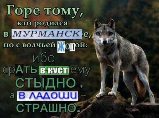 🐺 Стикер «Волчьи цитаты» для Telegram