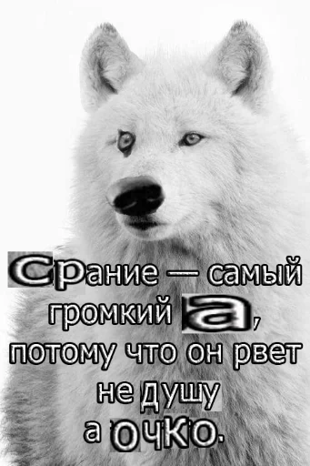 🐺 Стикер «Волчьи цитаты» для Telegram