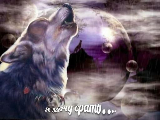 🐺 Стикер «Волчьи цитаты» для Telegram