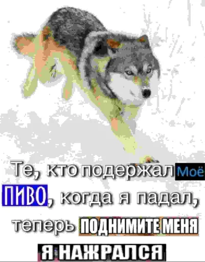 🐺 Стикер «Волчьи цитаты» для Telegram