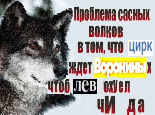 🐺 Стикер «Волчьи цитаты» для Telegram