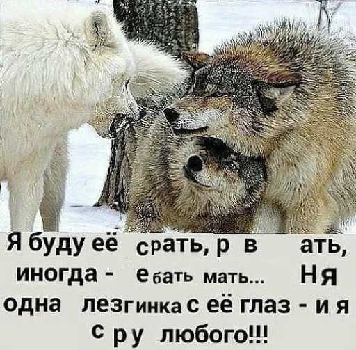 🐺 Стикер «Волчьи цитаты» для Telegram