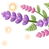 🌿 Эмодзи «Wolf Forest Summer font» для Telegram