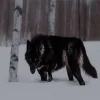 Стикер 22 Волчья Кровь