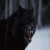Стикер 10 Волчья Кровь