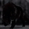 Стикер 19 Волчья Кровь