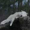 Стикер 30 Волчья Кровь
