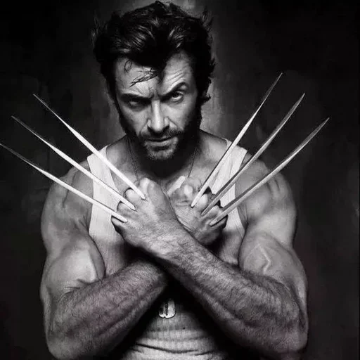 🐺 Стикер «Wolverine» для Telegram