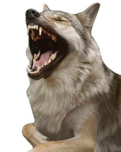 Стикерпак Wolfs для Telegram
