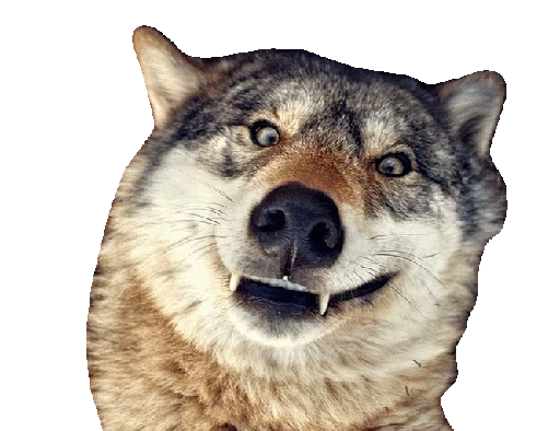 👀 Стикер «Wolfs» для Telegram