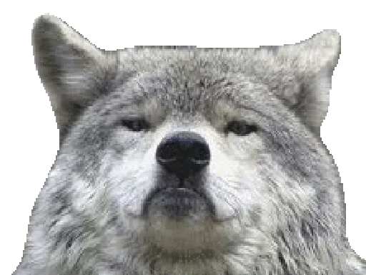 😒 Стикер «Wolfs» для Telegram
