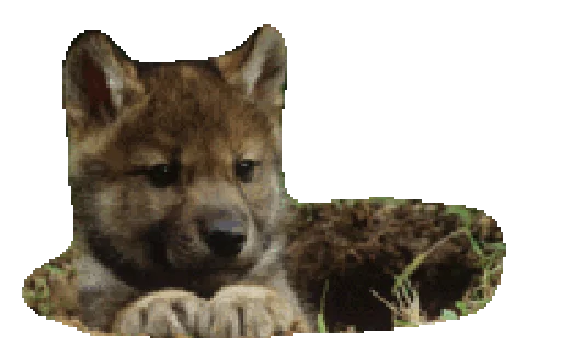 😋 Стикер «Wolfs» для Telegram