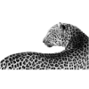🐆 Эмодзи «woman» для Telegram
