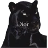 🐈‍⬛️ Эмодзи «woman» для Telegram