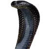 🐍 Эмодзи «woman» для Telegram