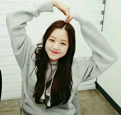 🐯 Стикер «wonyoung random —» для Telegram
