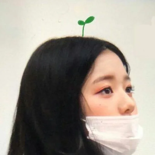 🐯 Стикер «wonyoung random —» для Telegram