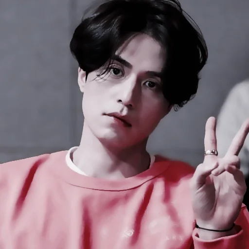 🐬 Стикер «Lee Dong Wook» для Telegram