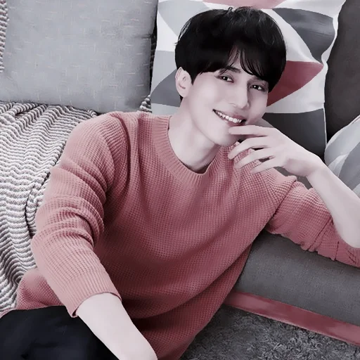 🐬 Стикер «Lee Dong Wook» для Telegram