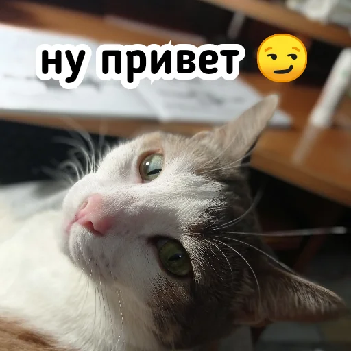 Стикерпак Плод скуки будних дней для Telegram — скачать