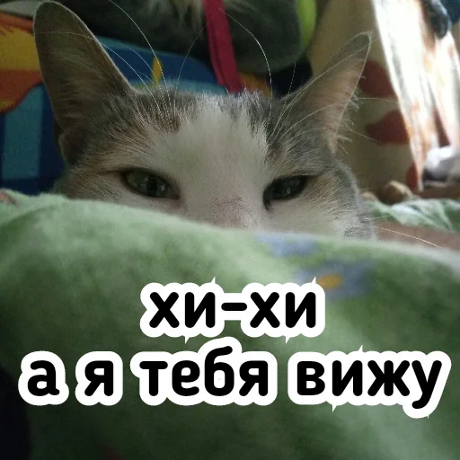 😜 Стикер «Плод скуки будних дней» для Telegram