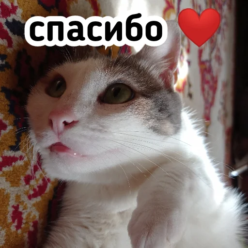 ♥️ Стикер «Плод скуки будних дней» для Telegram