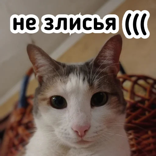 😔 Стикер «Плод скуки будних дней» для Telegram