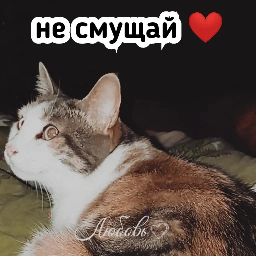 ☺️ Стикер «Плод скуки будних дней» для Telegram