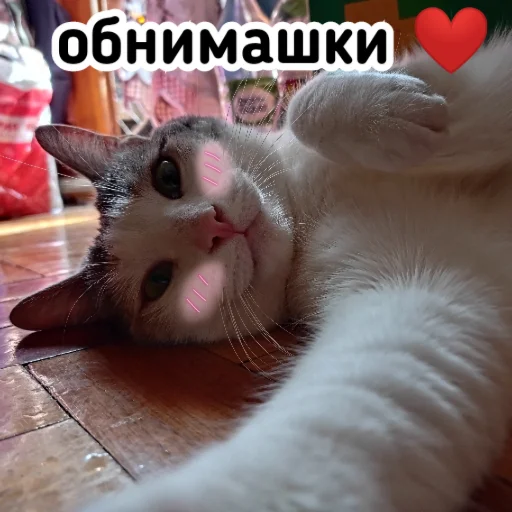 ❤️ Стикер «Плод скуки будних дней» для Telegram