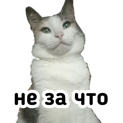 🙂 Стикер «Плод скуки будних дней» для Telegram
