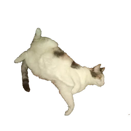 🐈 Стикер «Плод скуки будних дней» для Telegram
