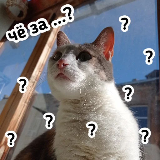 🤨 Стикер «Плод скуки будних дней» для Telegram
