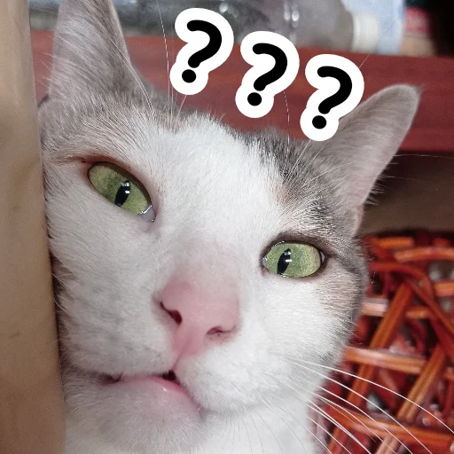 ❓ Стикер «Плод скуки будних дней» для Telegram