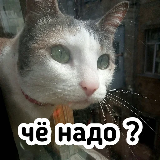 😒 Стикер «Плод скуки будних дней» для Telegram