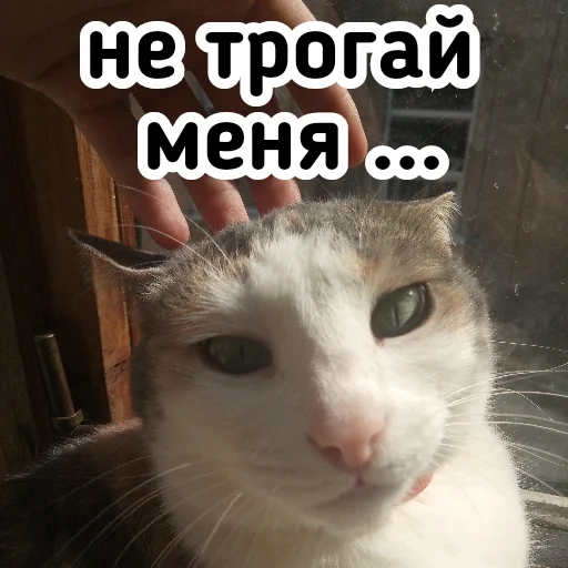 😑 Стикер «Плод скуки будних дней» для Telegram