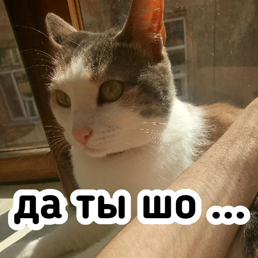 😲 Стикер «Плод скуки будних дней» для Telegram