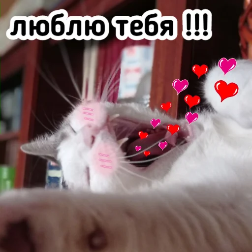 ♥️ Стикер «Плод скуки будних дней» для Telegram
