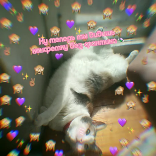 ♥️ Стикер «Плод скуки будних дней» для Telegram